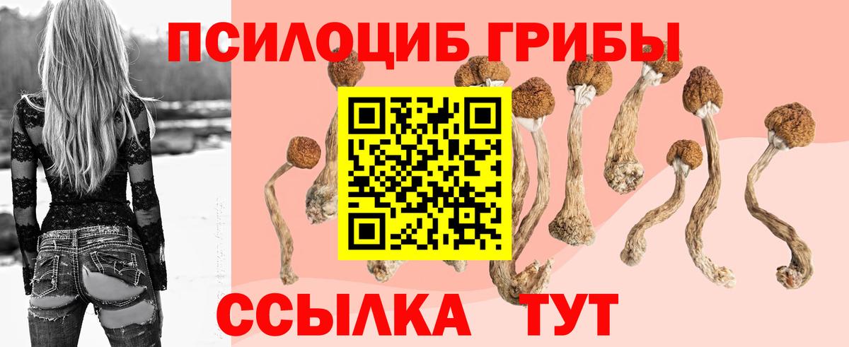 Галлюциногенные грибы прущие грибы Пушкино